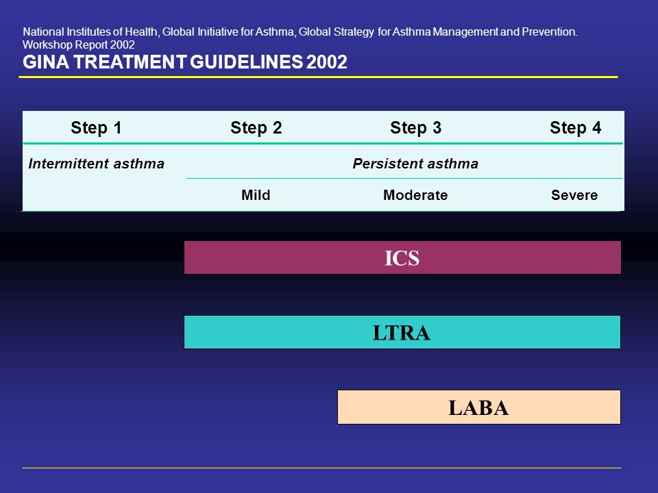 Global initiative for asthma guidelines Canada Examples Working Examples